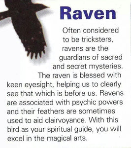 Eir Raven Necklace